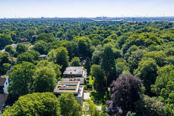 Grün, wohin das Auge reicht