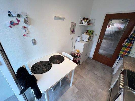 2024-02-19 12-49-08 PM