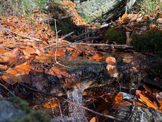 2025-11-05 10.27.44.jpg