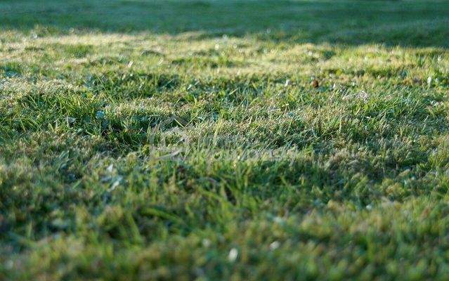 Symbolbild Grundstück