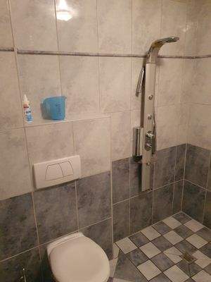 EG Gäste-WC/Duschbad