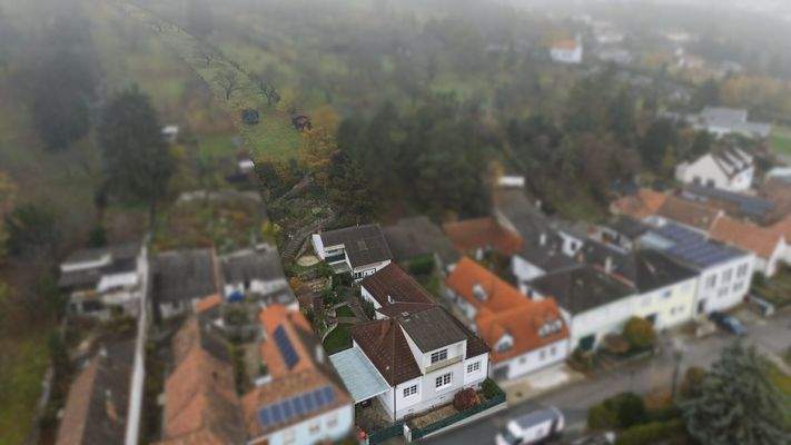 Grundstück von oben Gesamt