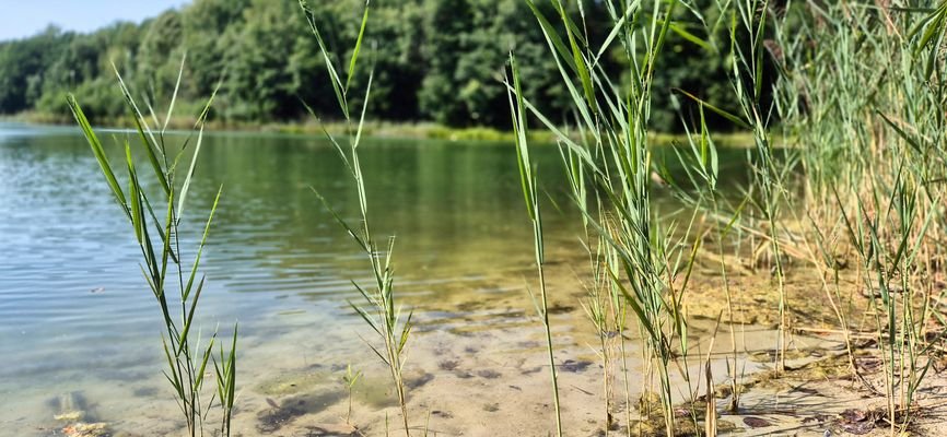 Seenlandschaft Harnekop
