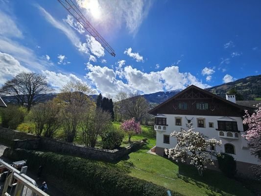 Bild 16