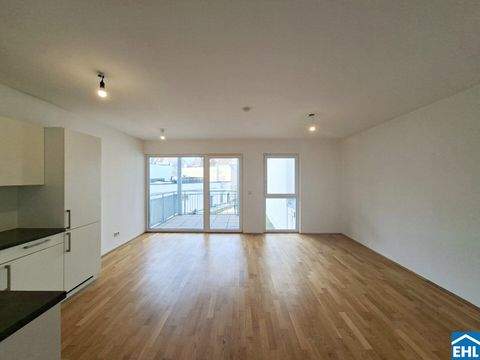 Wien Wohnungen, Wien Wohnung mieten