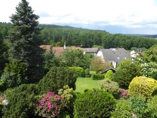 Blick in den Garten