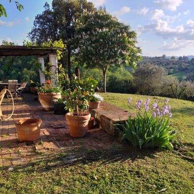 Der Blick in die sanften Hügel der Toscana