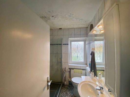 8/ Erdgeschoss: Barrierefreies Duschbad. Renoviert 2022 - außer Fenster.