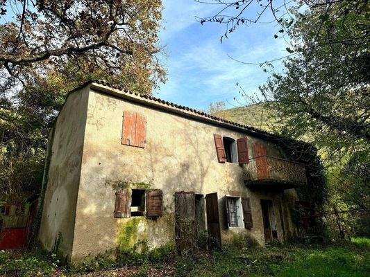 WhatsApp Image 2024-11-05 at 11.23.59 (6).jpeg