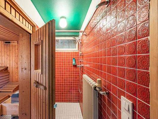 Sauna mit Duschbereich