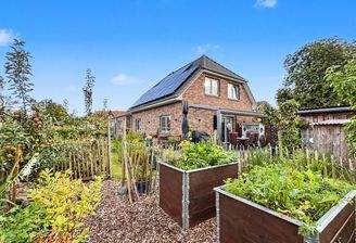 Rückansicht - Garten