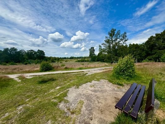 Ihre neue Laufstrecke führt Sie direkt ins Wittmoor