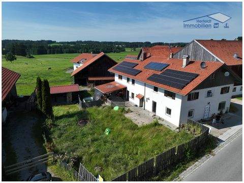 Steingaden Häuser, Steingaden Haus kaufen