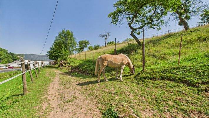 335bfc2b7ab24cce836c03db4efb92ed_95_CAM01984G0-PR0