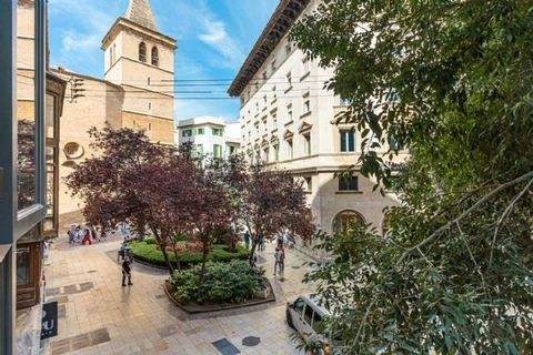 Palma Wohnungen, Palma Wohnung kaufen