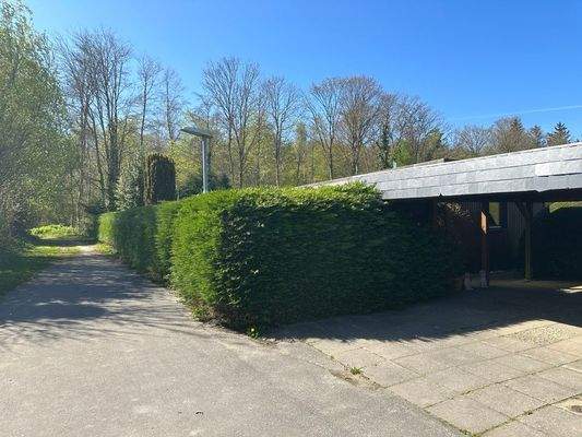 Wald vor der Haustür