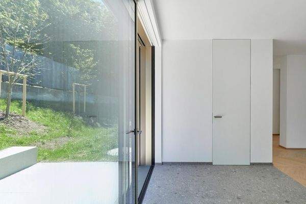 Eingangsbereich mit rückseitiger Terrasse & Garten