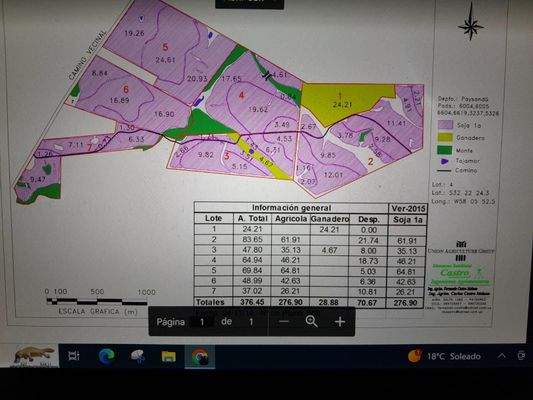 2 Campo San Felix Paysandu Uruguay.jpg