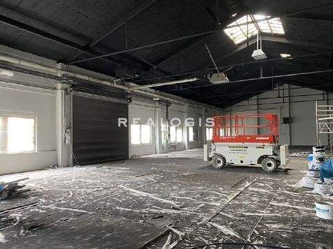 Hamburg Halle, Hamburg Hallenfläche