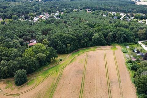 Zossen OT Dabendorf Bauernhöfe, Landwirtschaft, Zossen OT Dabendorf Forstwirtschaft