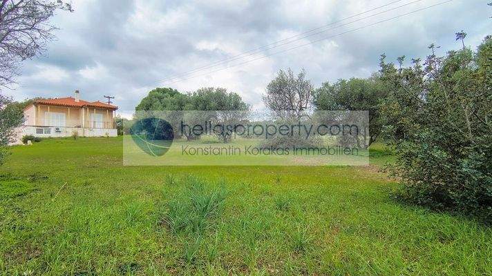 f9ef163e6e7240c383b66cec051fc2dc-original