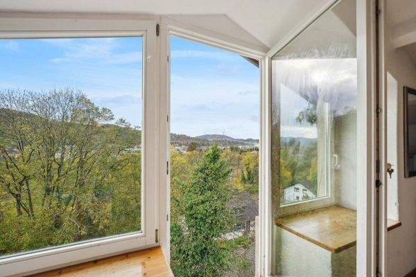 Aussicht auf den Rhein