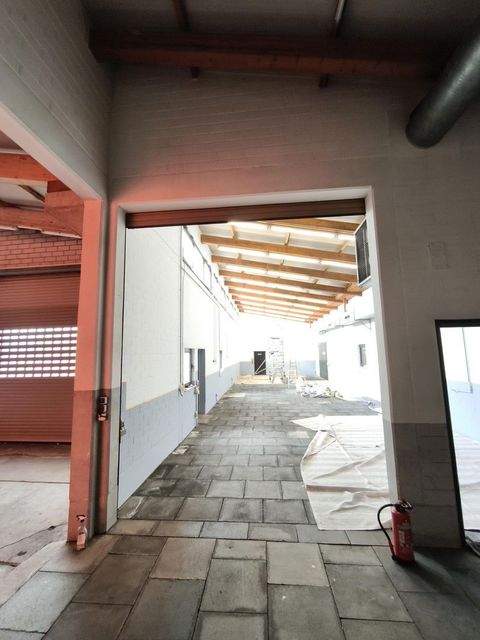 Erftstadt Halle, Erftstadt Hallenfläche