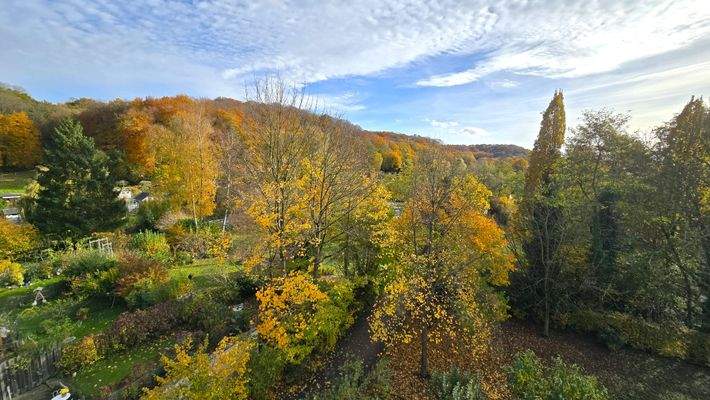Balkonblick ins Grüne