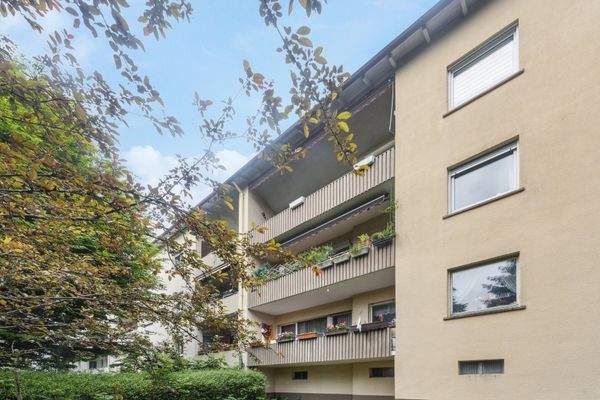 backbone_546264-A_043_WEB