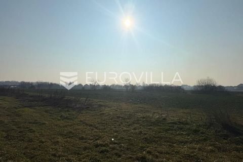 Djakovo Bauernhöfe, Landwirtschaft, Djakovo Forstwirtschaft