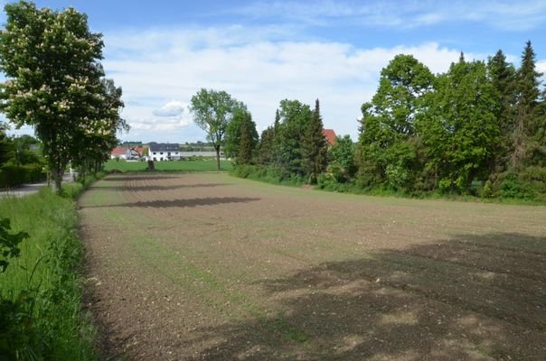 Blick nach Norden.JPG