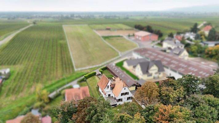Blick in Richtung Feld