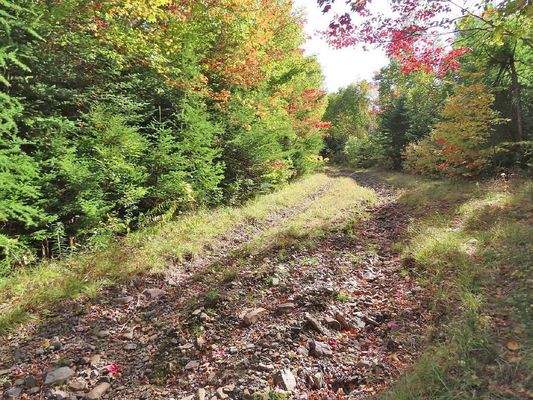 Nova Scotia - West Side Country Harbour - 52-Hekta