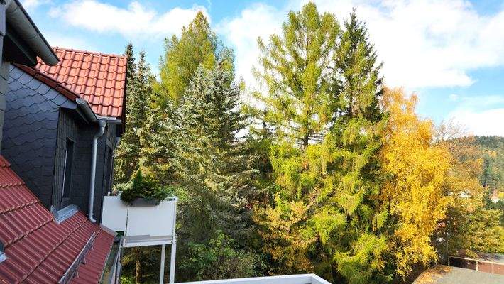 gb Blick vom Balkon.jpg