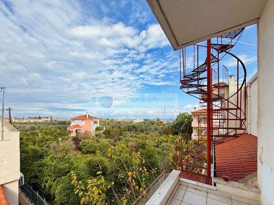 b8df49478208438fa1c95535861b08ee-original