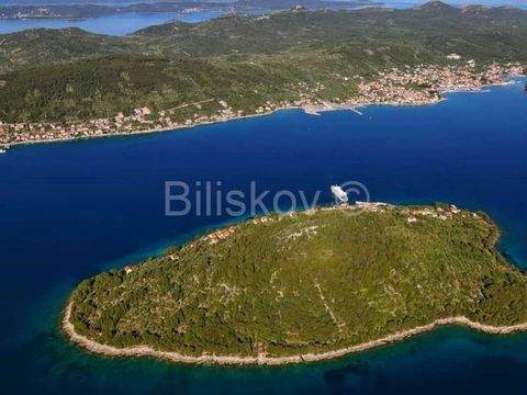 Centar Häuser, Centar Haus kaufen