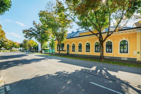 DSC08194-HDR copy 2_bearb