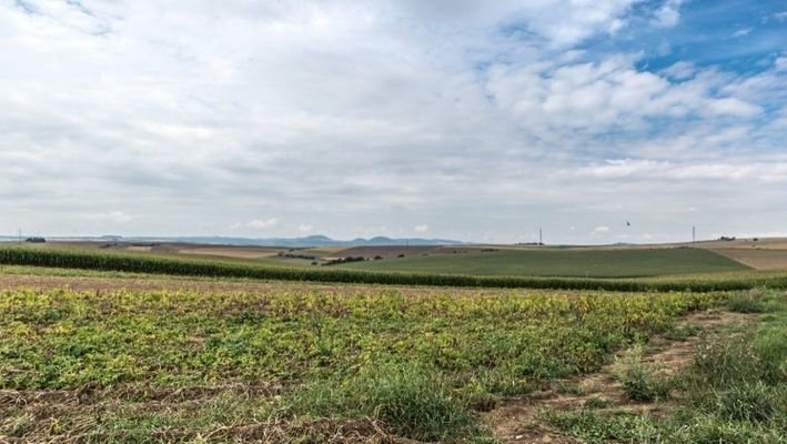 Blick ins Maifeld