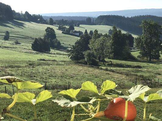 EG Hokkaido + Balkon nach Süde