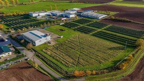 Straufhain / Streufdorf Halle, Straufhain / Streufdorf Hallenfläche