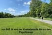 Pegnitzauen 1.jpeg