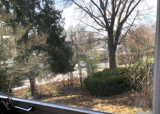 Blick aus Esszimmer.jpeg