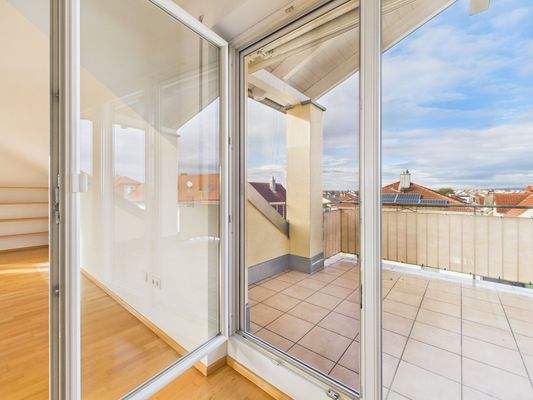 Balkonzugang mit Insektenschutzgitter (Schiebetür)