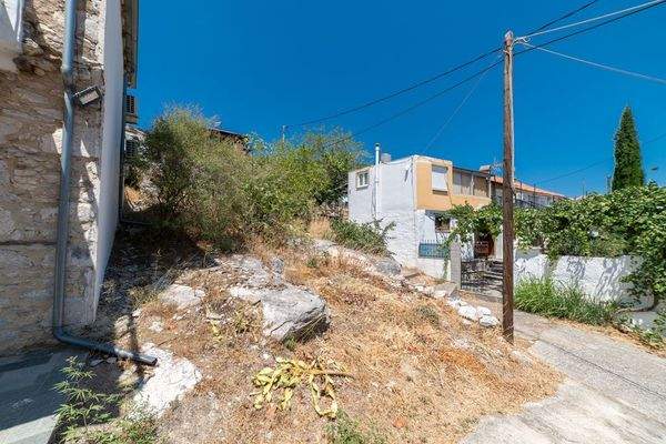 Papatsiaras-Theologos-Kekes 24-07-2024-2.jpg