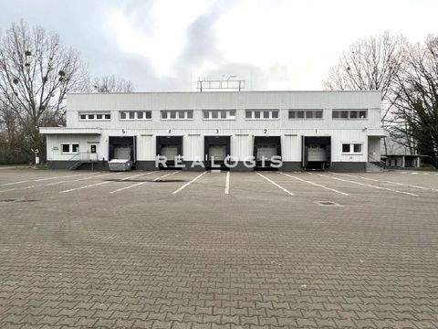 Potsdam Halle, Potsdam Hallenfläche