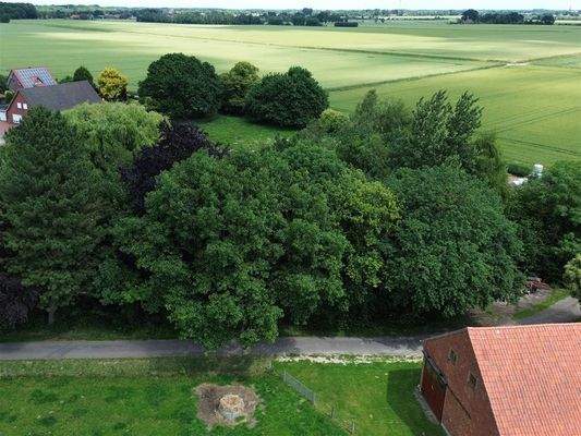 Ausblick auf Umgebung