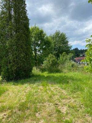 WhatsApp Image 2024-05-23 at 14.45.17.jpeg