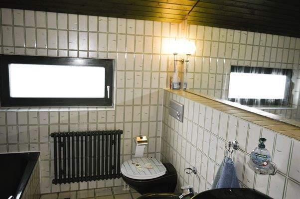 Tageslichtbad im OG mit Dusche