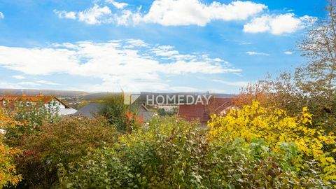 Obernburg a.Main Häuser, Obernburg a.Main Haus kaufen