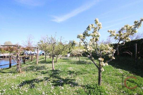 Insel mit Ferienhaus La Valle da pesca (33)